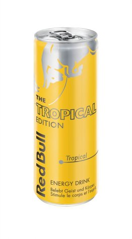 Red Bull Yellow Edition Tropical Dosen 25cl Kt 24