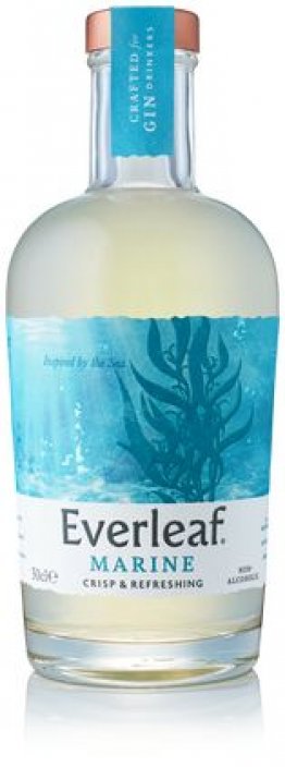 Everleaf Marine alkoholfreier Apéro Aromen Wacholder und Bergamotte 50cl
