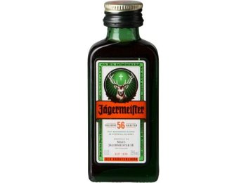 Jägermeister 35% 24Stk.à 2cl. 2cl Kt 96