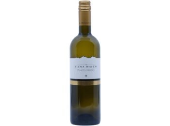 Pinot Grigio DOC Elena Walch Südtirol JG 2023 75cl Kt à 6