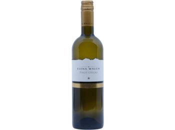 Pinot Grigio DOC Elena Walch Südtirol JG 2025 75cl Kt à 6