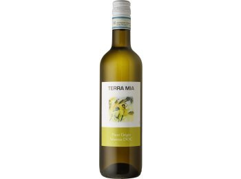 Pinot Grigio Venezia DOC 50cl Har 15