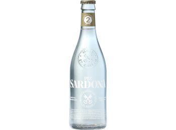 Piz Sardona 2 Kohlensäure mittel 40cl Har 20