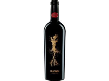 Profundo VdT de Castilla 2023 75cl Kt à 6