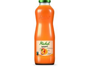 Michel Bodyguard 100cl Har 6