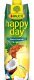 Rauch happy day Ananas-Cocos Tetra 100cl Tetra 6