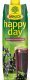 Rauch happy day schwarze Johannisbeere Tetra 100cl Tetra 6